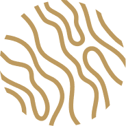 Client Logo 3